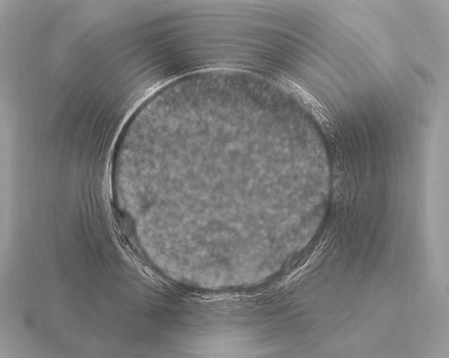 X0000115320892200912141155