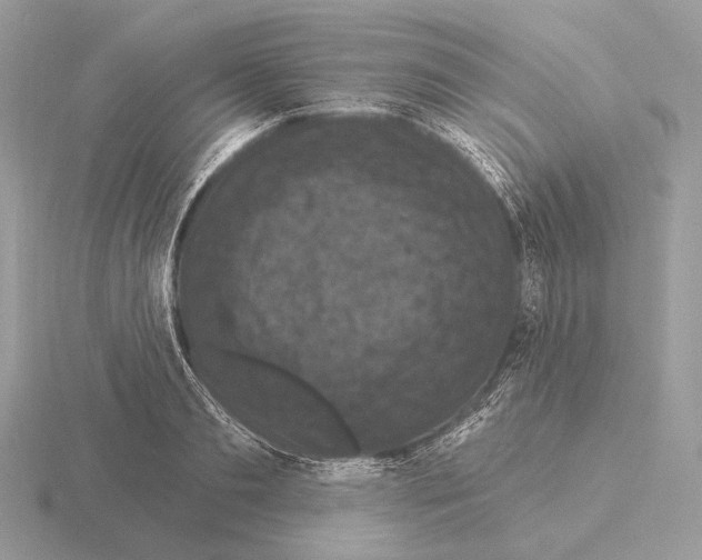 X0000115320893200912141155