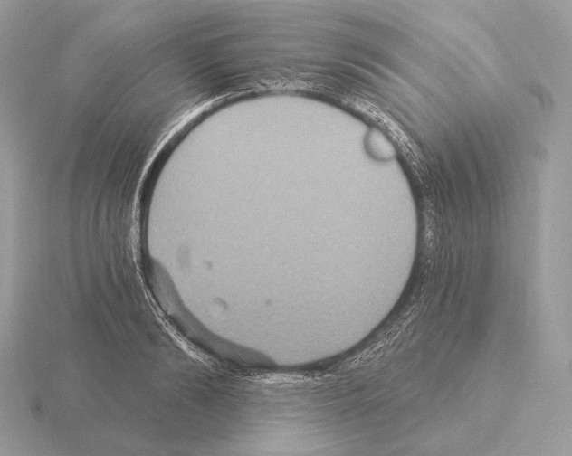 X0000115320894200912141155