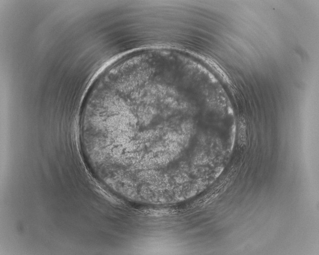 X0000115320895200912141155