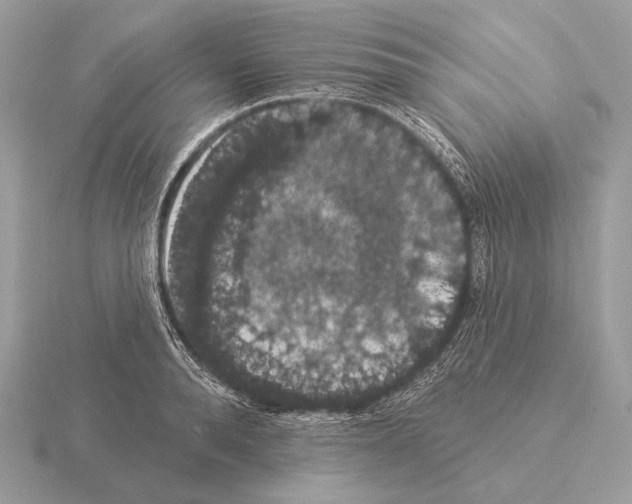 X0000115320896200912141155