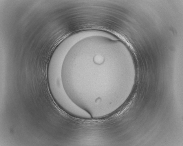 X0000115320897200912141155