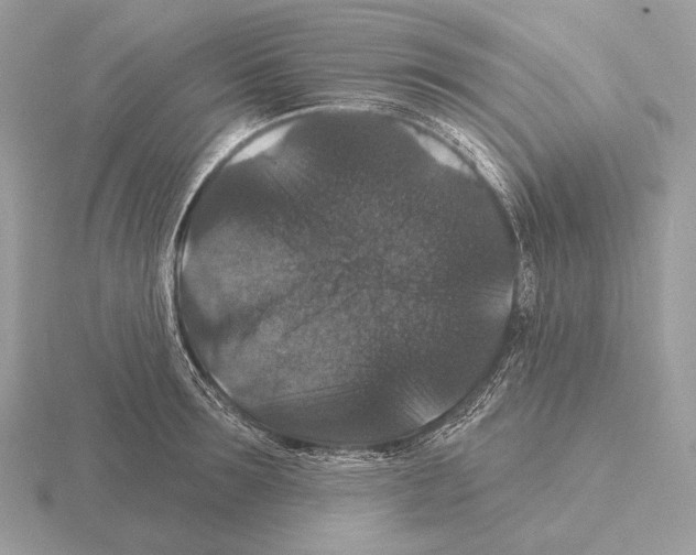 X0000115320899200912141155