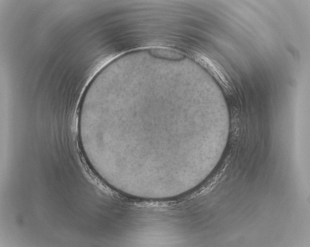 X0000115320900200912141155