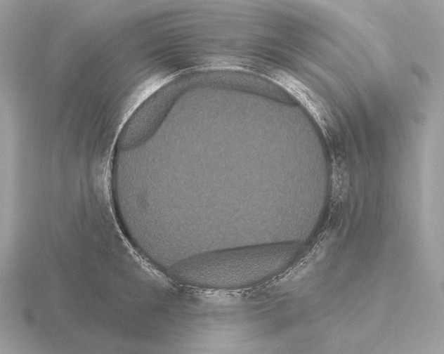 X0000115320901200912141155