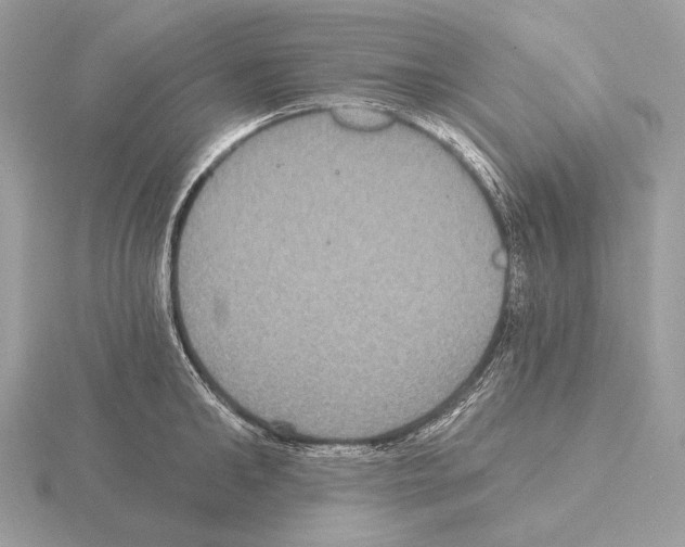 X0000115320902200912141155