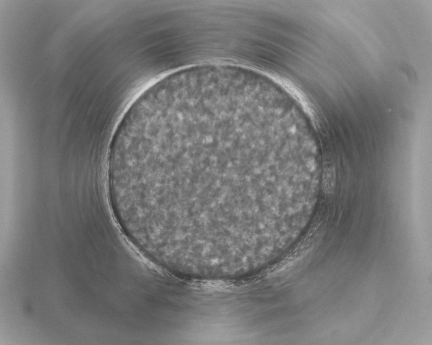 X0000115320903200912141155