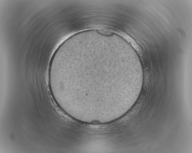 X0000115320904200912141155