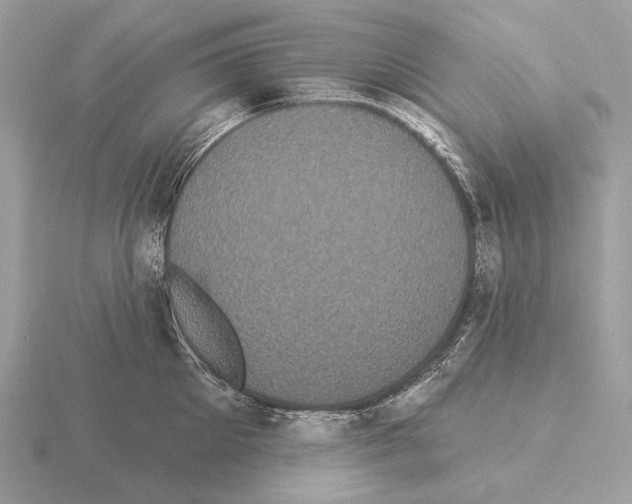 X0000115320905200912141155