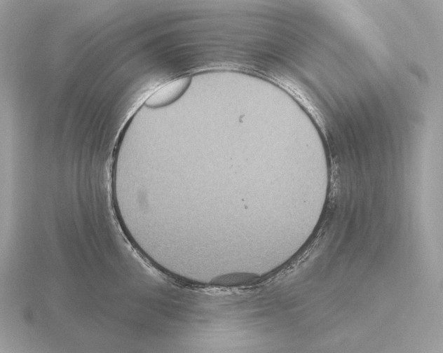 X0000115320906200912141155