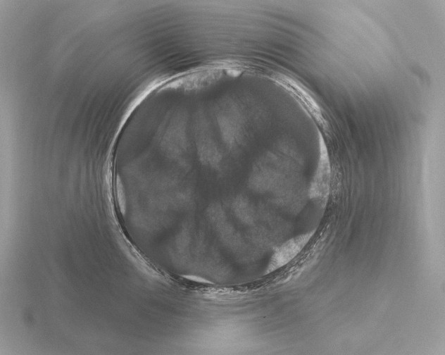 X0000115320907200912141155