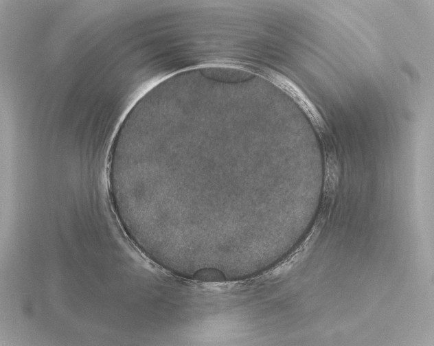 X0000115320908200912141155