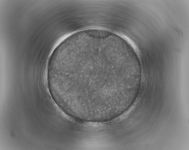 X0000115320910200912141155