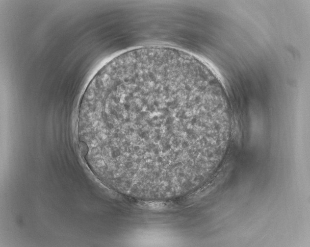 X0000115320911200912141155