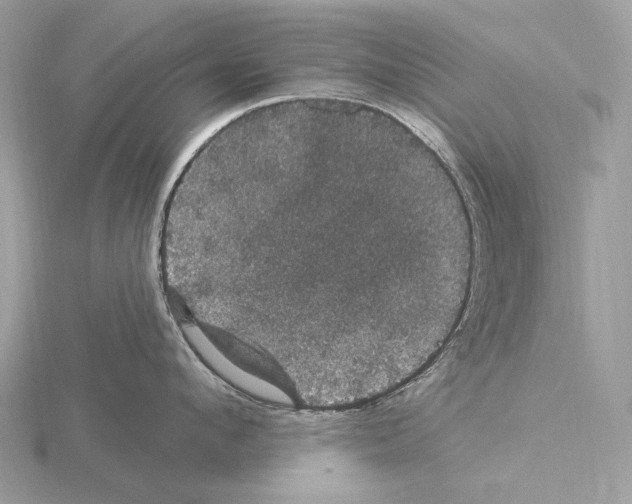 X0000115320912200912141155