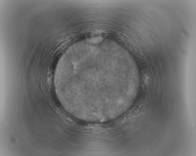 X0000115320914200912141155