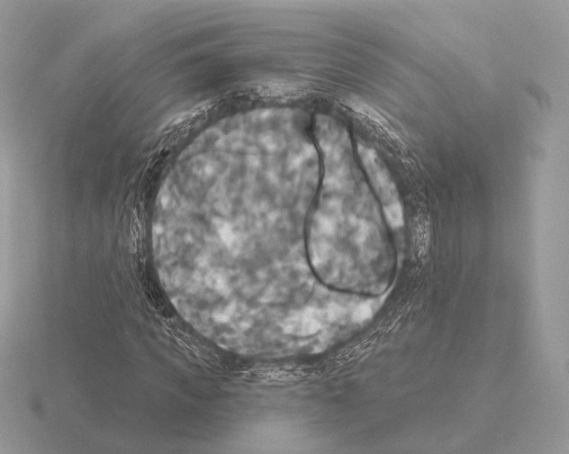 X0000115320917200912141155