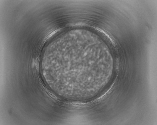 X0000115320921200912141155