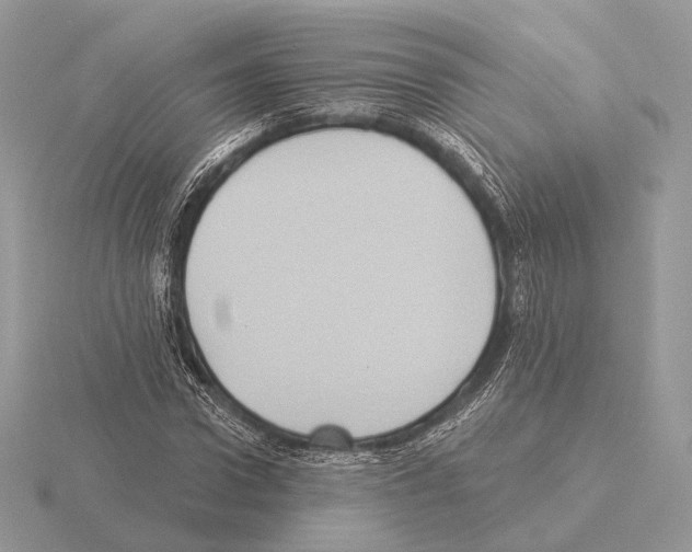 X0000115320922200912141155