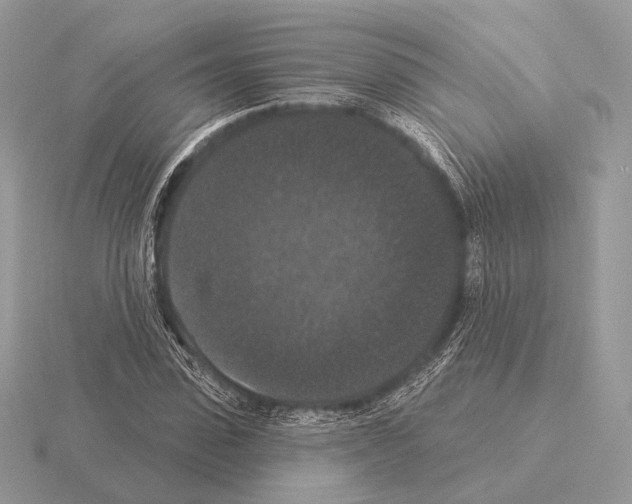 X0000115320923200912141155