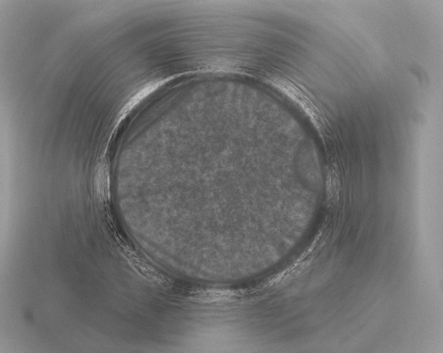 X0000115320925200912141155