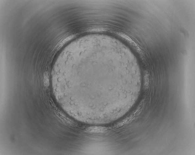 X0000115320929200912141155