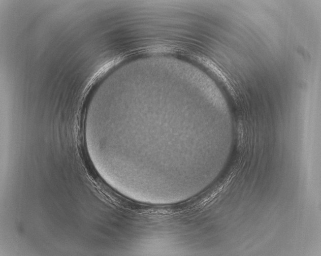 X0000115320930200912141155