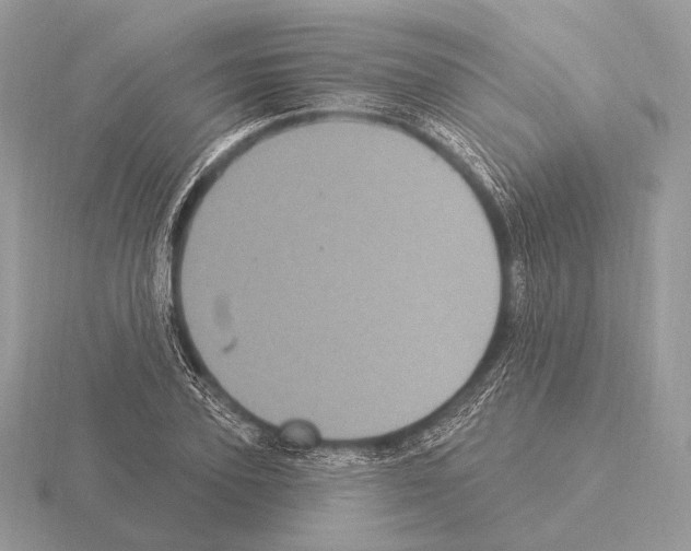 X0000115320931200912141155