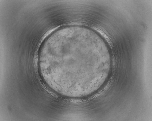 X0000115320933200912141155