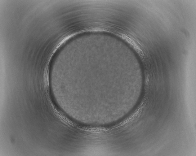 X0000115320934200912141155