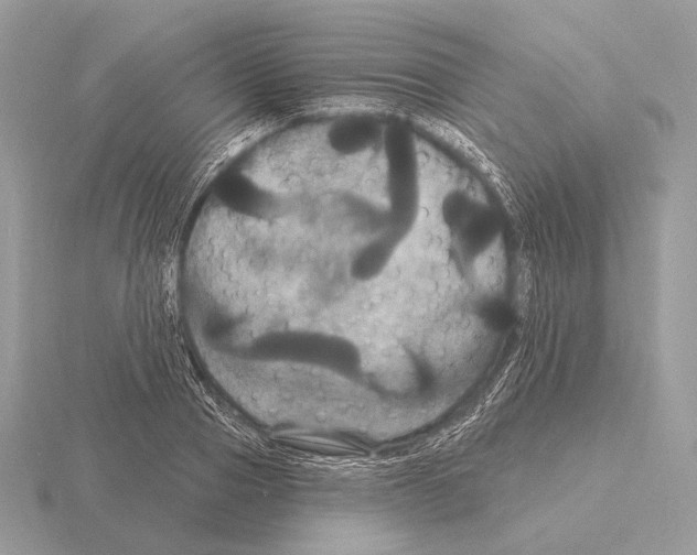 X0000115320937200912141155