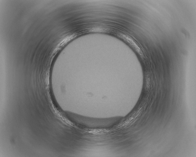 X0000115320938200912141155