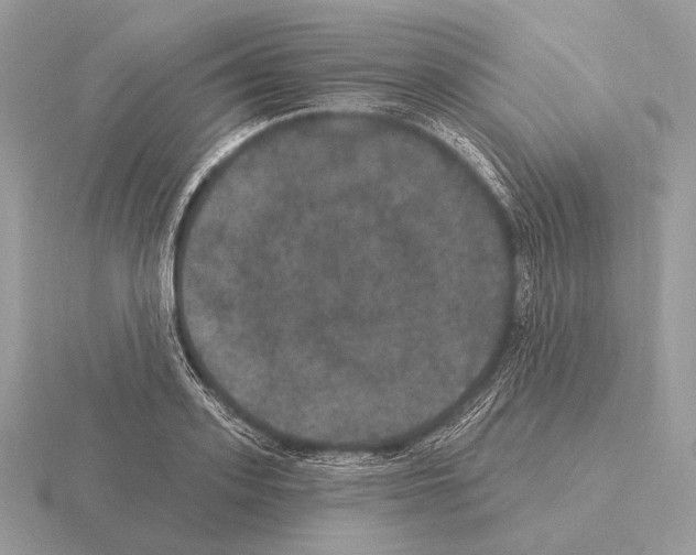 X0000115320939200912141155