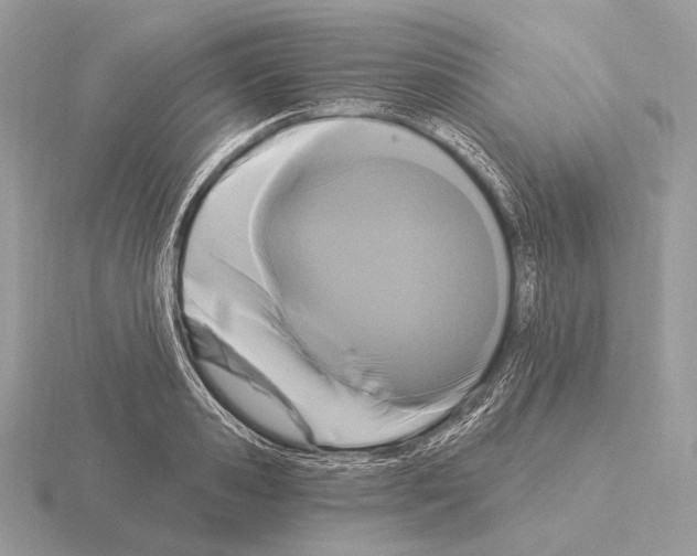 X0000115320941200912141155