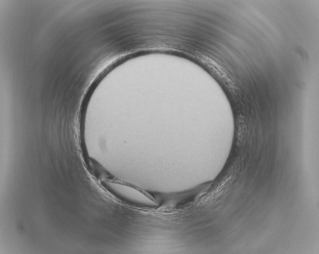 X0000115320942200912141155