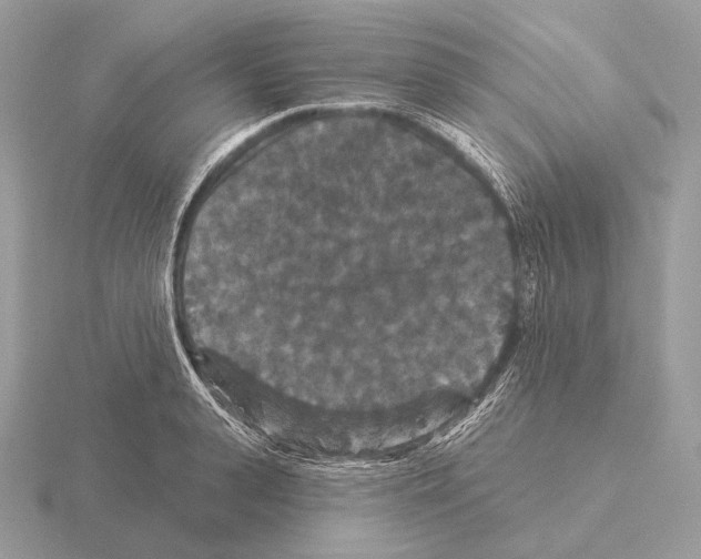 X0000115320943200912141155