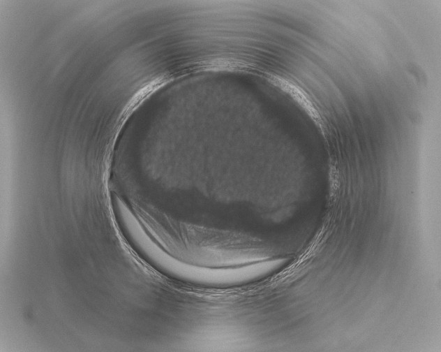 X0000115320946200912141155