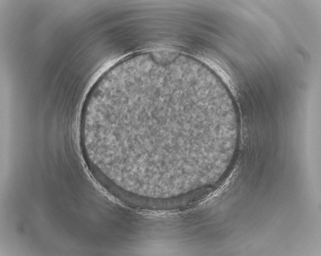 X0000115320949200912141155