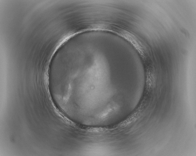 X0000115320950200912141155