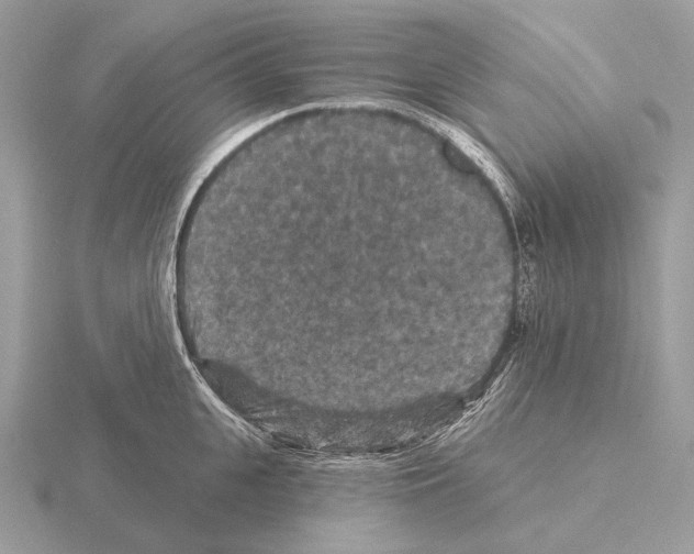 X0000115320951200912141155