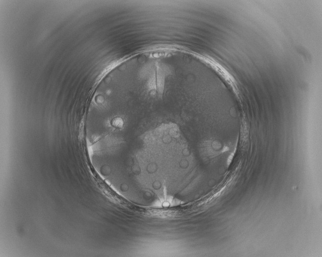 X0000115320953200912141155