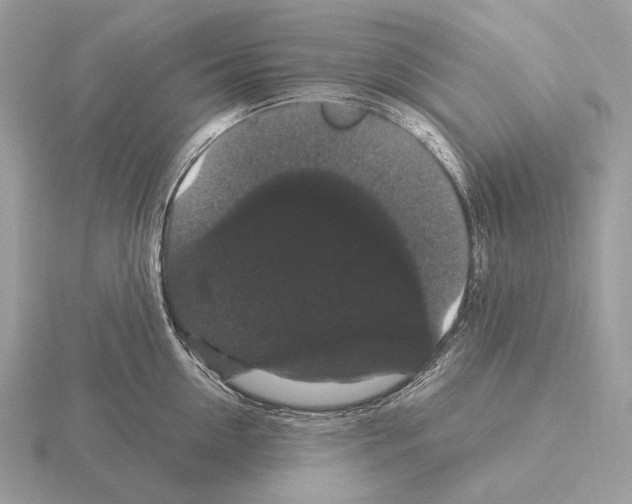 X0000115320954200912141155