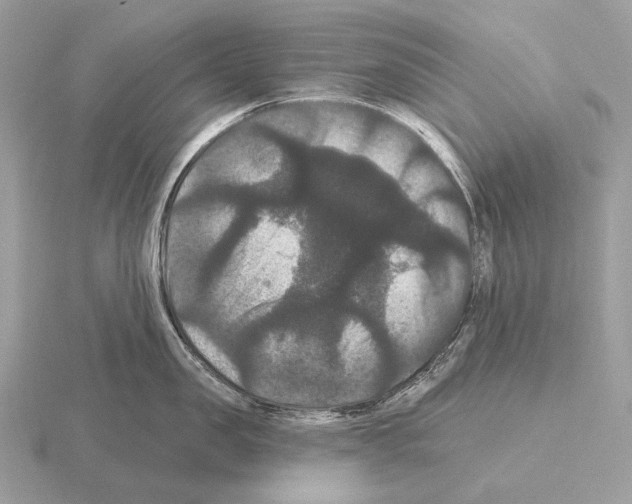 X0000115320957200912141155