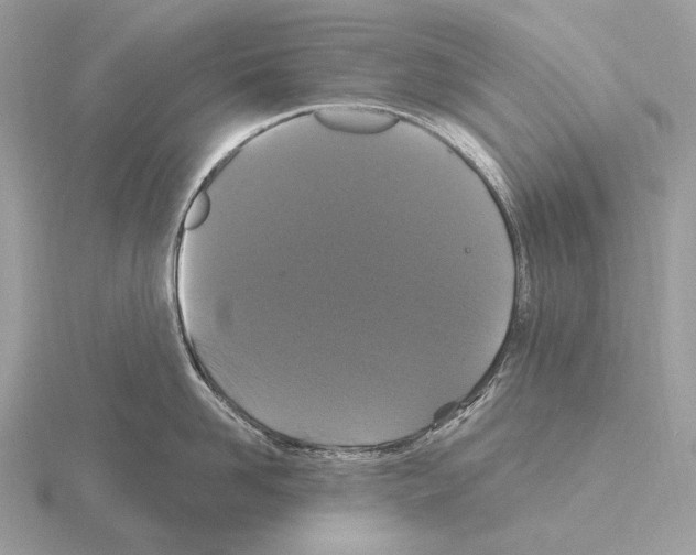 X0000115320958200912141155