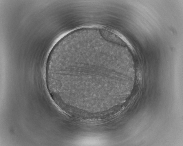 X0000115320959200912141155