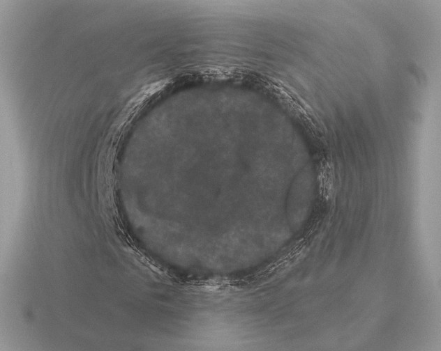 X0000115320961200912141155