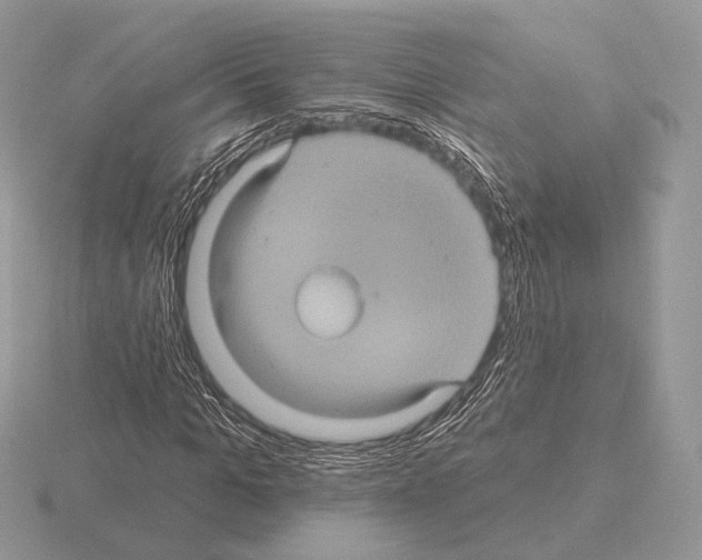 X0000115320965200912141154