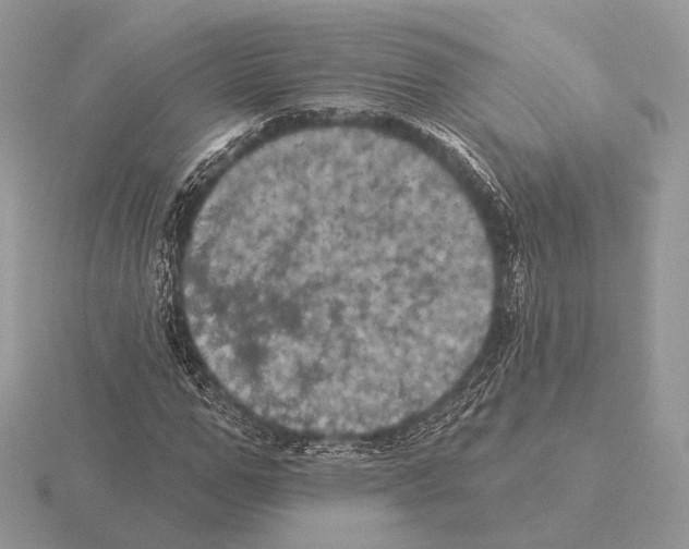 X0000115320967200912141154