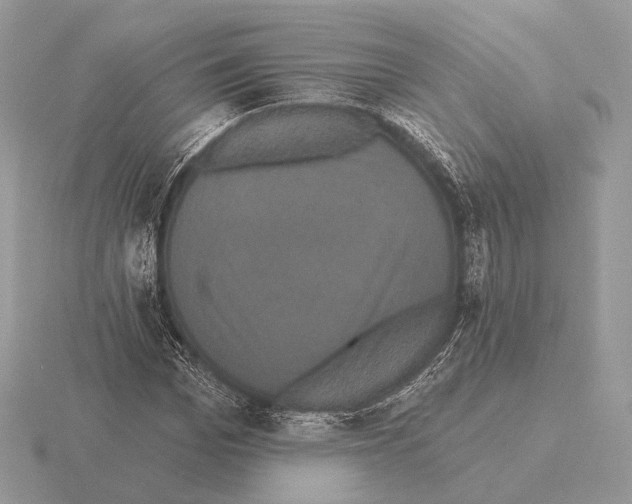 X0000115320969200912141154