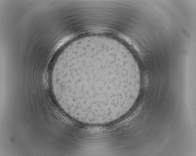 X0000115320970200912141154